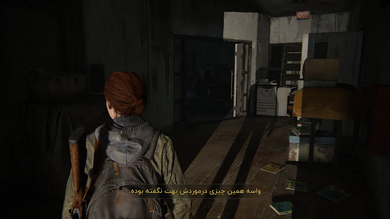 Example-2-the-last-of-us-part-ii-pc