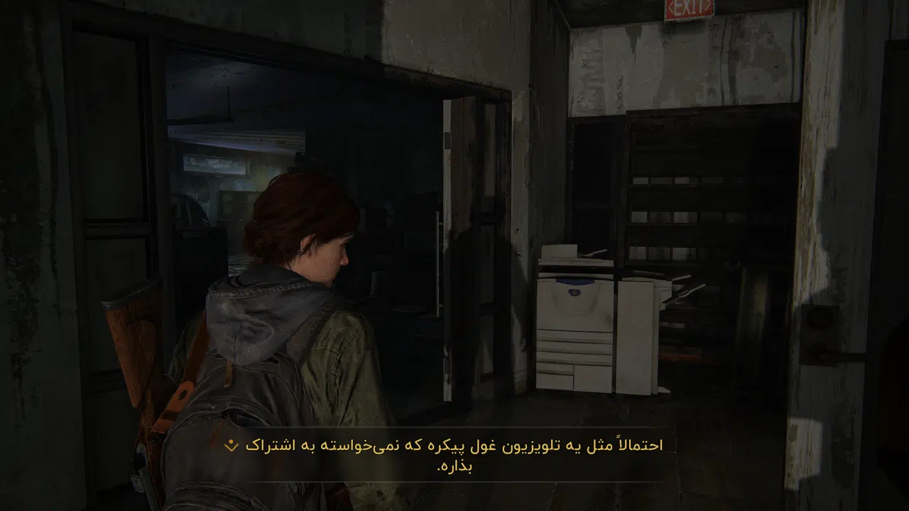 Example-1-the-last-of-us-part-ii-pc