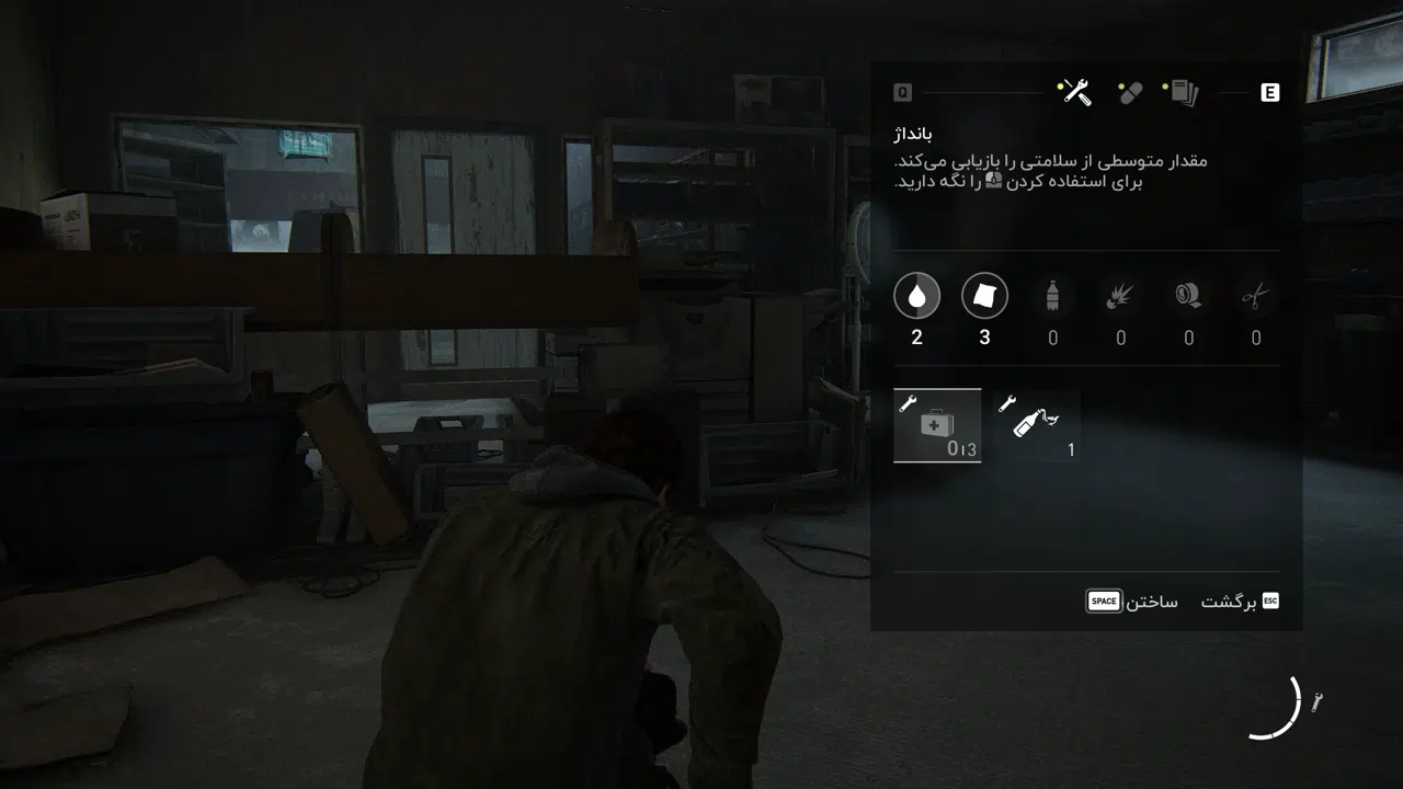 Example-8-the-last-of-us-part-ii-pc