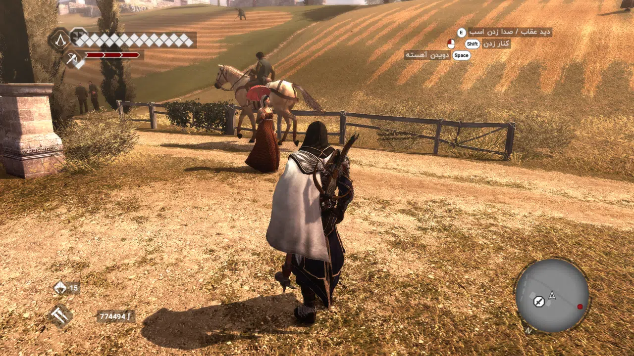 Example-6-assassins-creed-brotherhood-pc